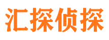 鱼峰市私人侦探